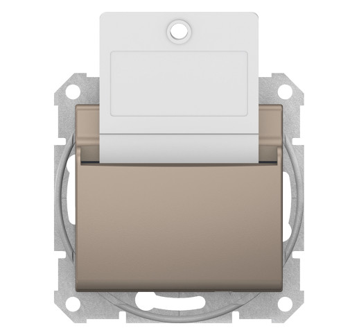 Вимикач для готелів (картковий) Schneider Electric Sedna SDN1900168