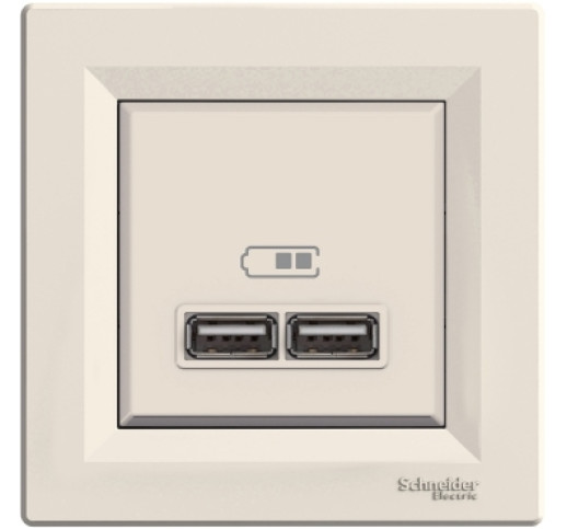 Розетка USB Schneider Electric Asfora EPH2700223