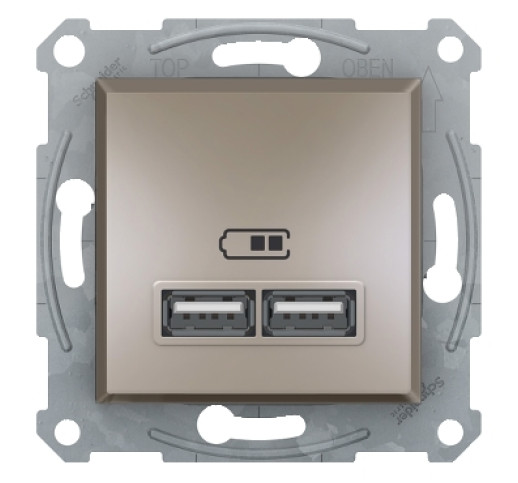 Розетка USB Schneider Electric Asfora EPH2700269