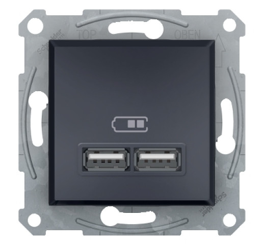 Розетка USB Schneider Electric Asfora EPH2700271